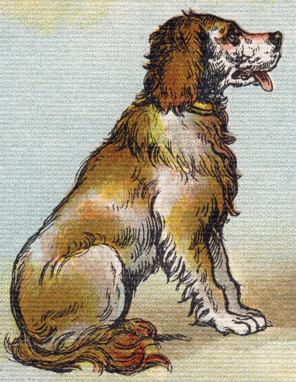 Hund. Gravyr i "Alphabet de ma petite fille". Bernardin-Bechet och Fils, bokhandlare-förlag, Paris, omkring 1895. Okrossbart album på duk. Bibliotheque des Bebes. 12 sidor. Album innehållande en läsmetod och en illustrativ abecedary. Dim: 29,5 av Unbekannt