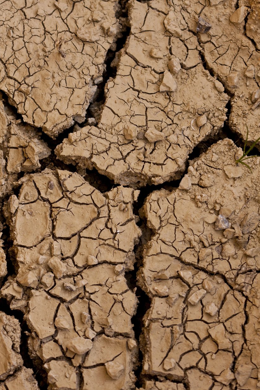 Dry II (bild) av Unbekannter Künstler