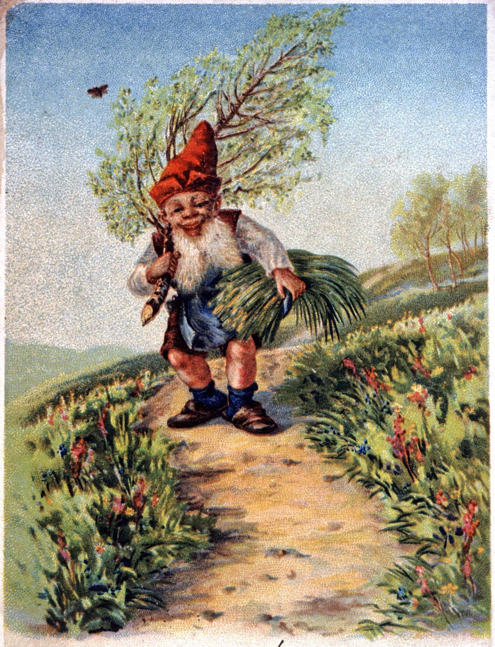 Dvärg som återvänder från plockning, ca 1900 (vykort) av Unbekannter Künstler