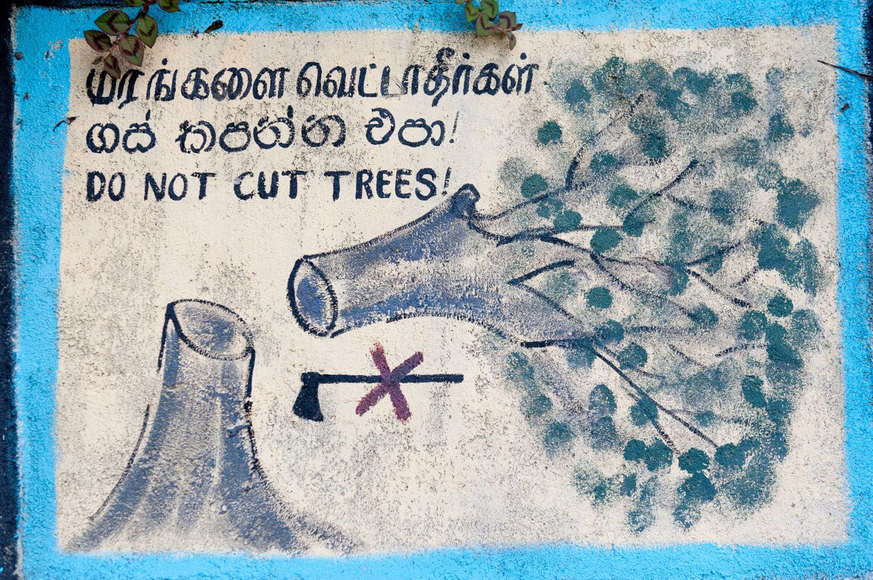Miljöskydd; målad skylt; """ Kapa inte träd""""" som visar ett fällt träd och en överkorsad yxa; Nuwara Eliya; Sri Lanka; Asien av Unbekannt