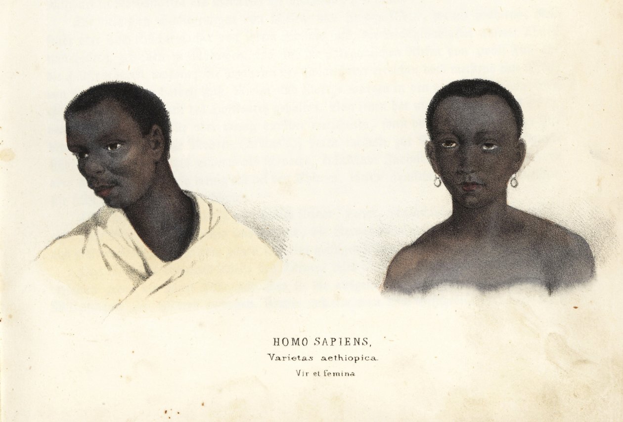Etiopisk man och kvinna. Handkolorerad stålgravyr från Georg Friedrich Treitschkes naturhistoriska galleri, Naturhistorischer Bildersaal des Thierreiches, Liepzig-1842. av Unbekannter Künstler