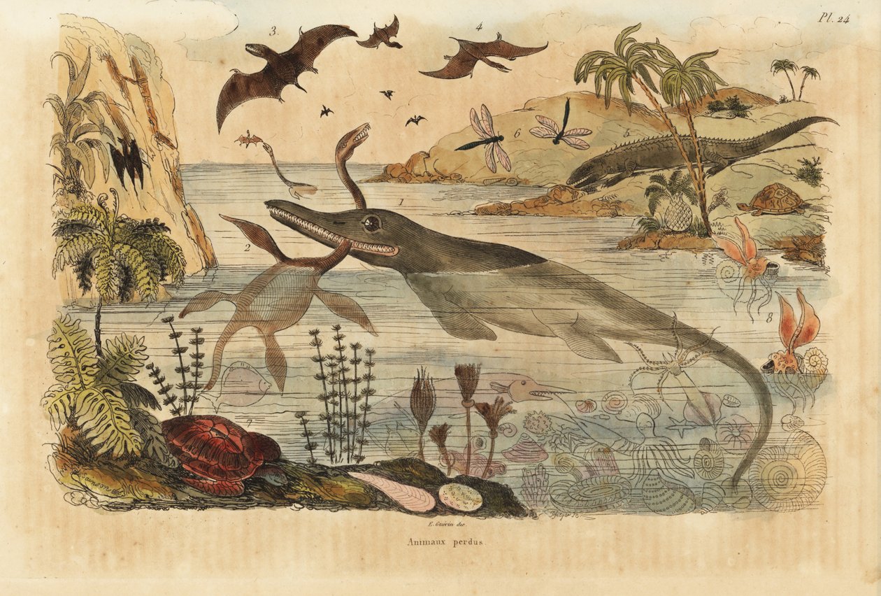 Utdöda dinosaurier, iktyosaurier, plesiosaurier, marina djur, pterodactyler, ödlor, sköldpaddor, insekter, fiskar, bläckfisk, blötdjur, etc. av Unbekannt