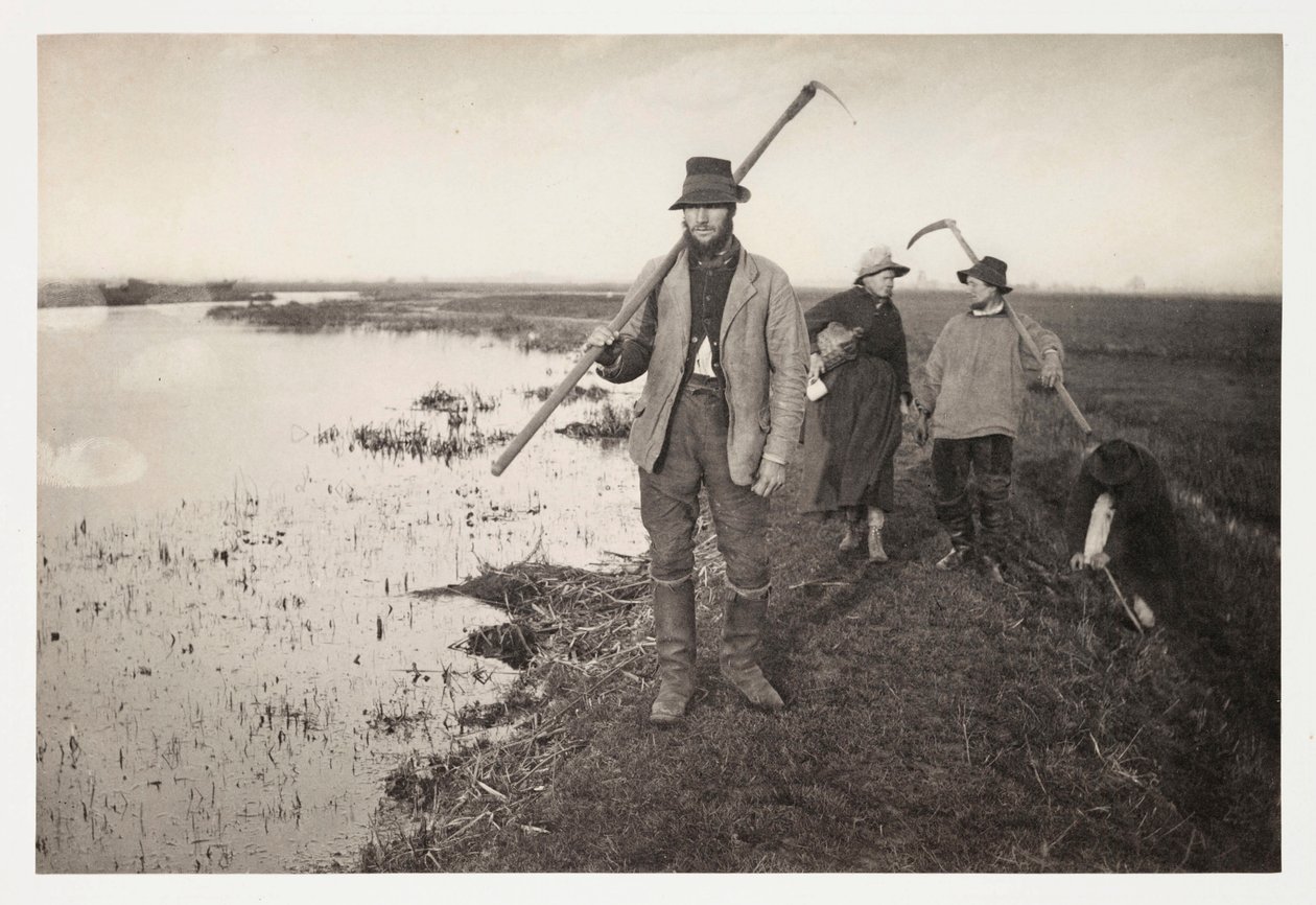 Farmers & Farm Workers "Coming Home from The Marshes" (retour des marais) av Unbekannter Künstler