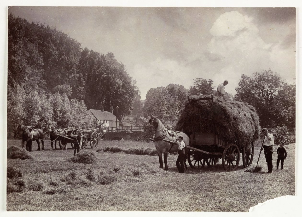 Jordbruksscener, skörd och lagring, höskapning före 1900, ca 1890 av Unbekannt