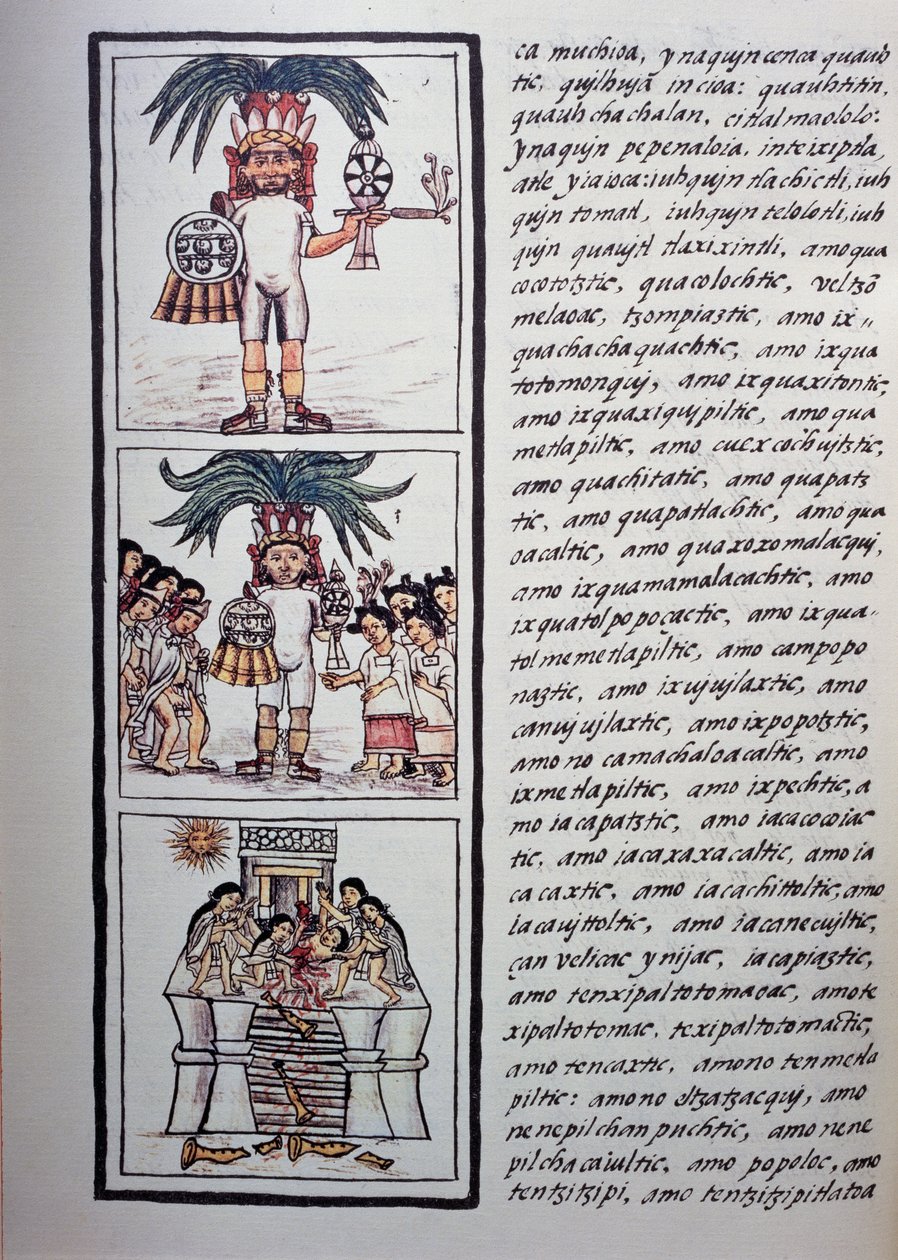 Festival of Toxcatl och hans offer, Bok II av Florentine Codex, Tvåspråkig version på spanska och Nahuatl, Allmän historia om det nya Spaniens saker (Historia general de las cosas de Nueva Espana), Aztekisk civilisation av Benjamin Baud