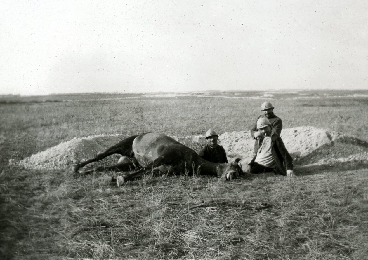 Första världskriget 14-18 (1914-1918): tre franska soldater begraver en död häst - fotografi på glasplåt av Unbekannter Künstler