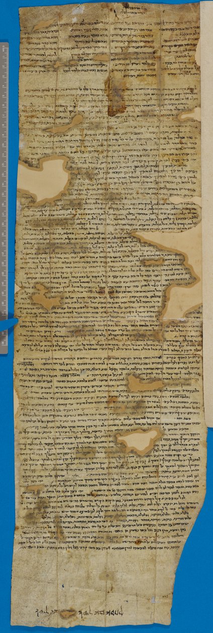 Fragment av ett rekommendationsbrev för Ruben ben Isaac, verso av Unbekannter Künstler