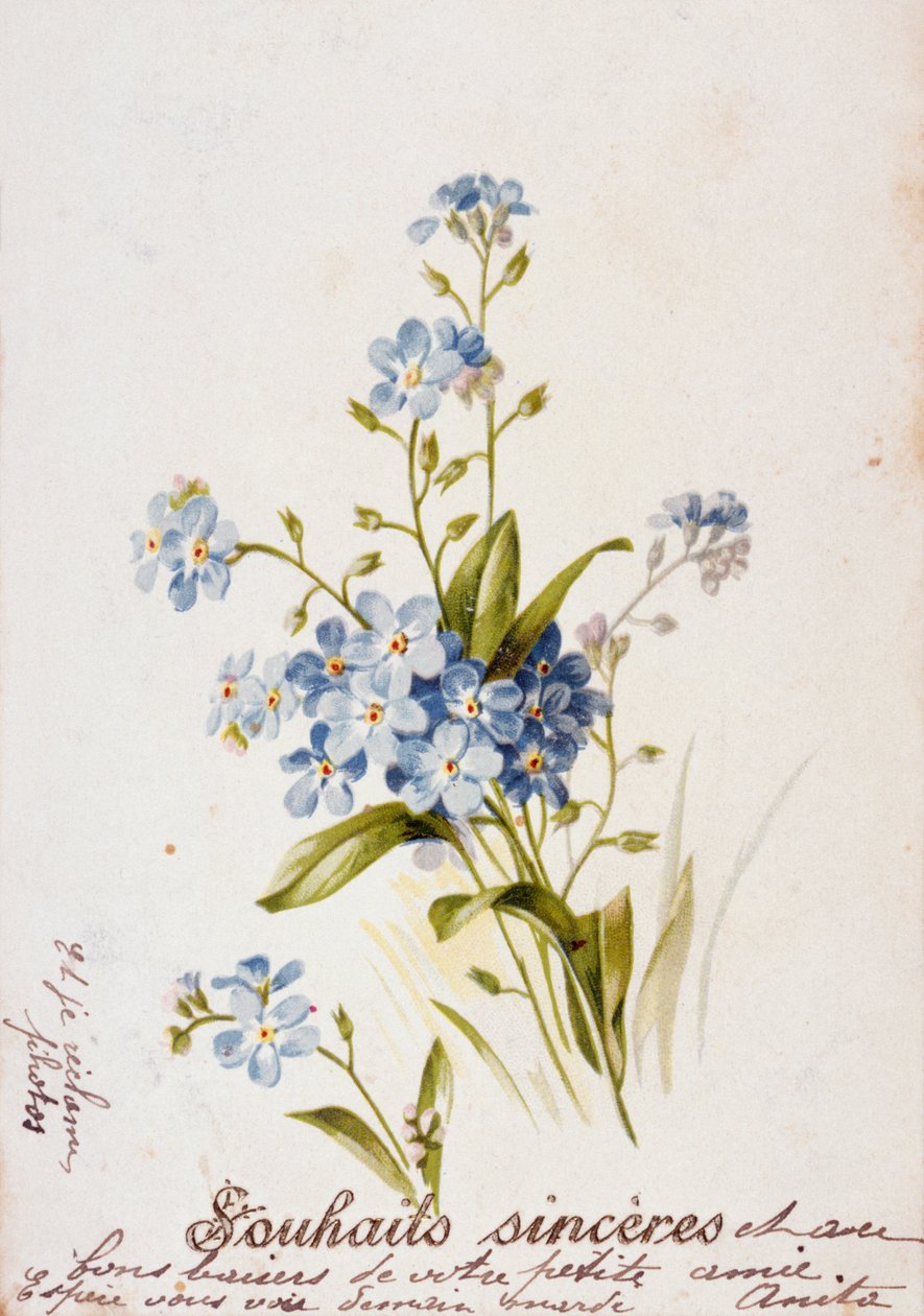 Franskt födelsedagskort med blommiga element av Unbekannter Künstler