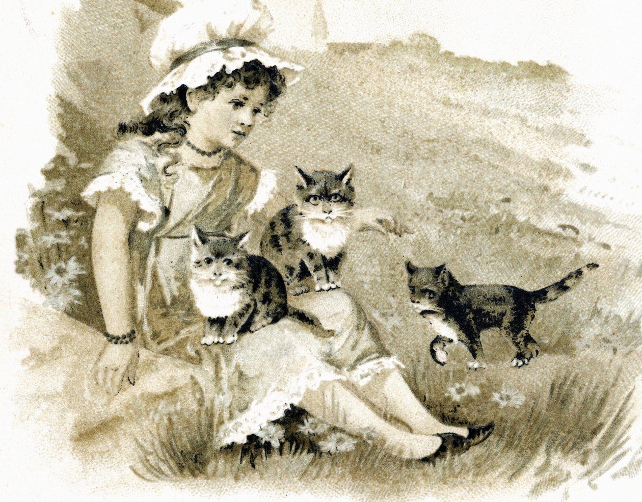 Flicka som återvänder med katter på knäna. Vykort omkring 1900. Kromolitografi av Unbekannt