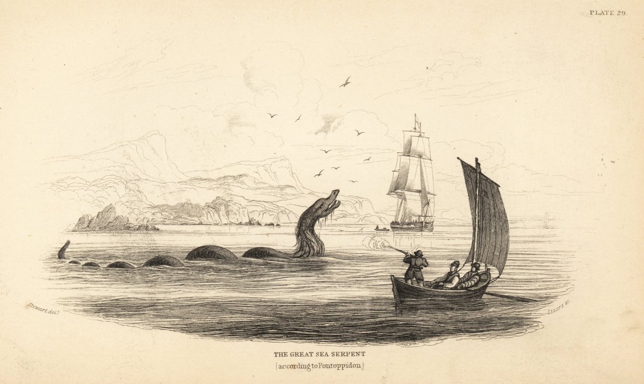 Stor sjöorm som sköts av besättningen på Lawrence by Ferry 1746. Beskrivs i biskop Erik Pontoppidans Norges naturhistoria av Unbekannter Künstler