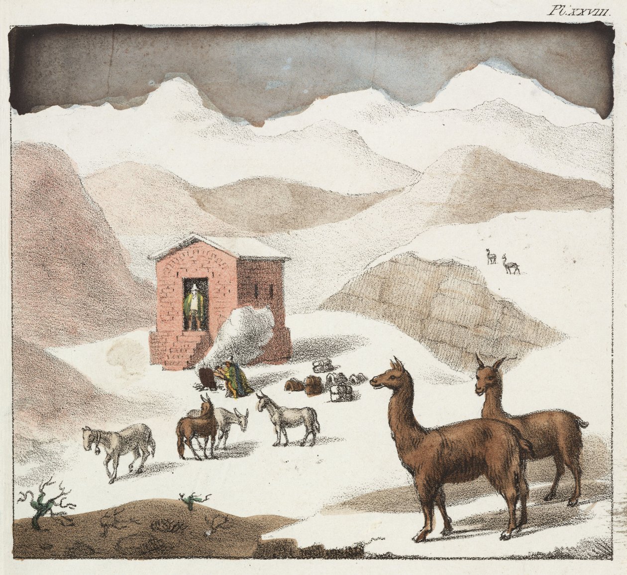 Guanacos, grottornas dal, Anderna, Chile av Unbekannter Künstler