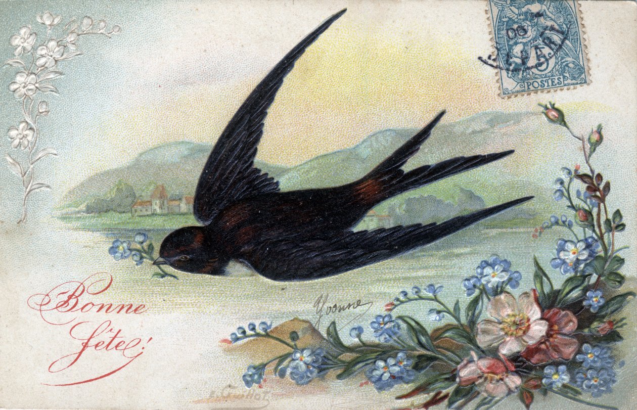 Grattis på födelsekortet: Swallow bringing a flower - Vykort daterat 1906 av Unbekannt