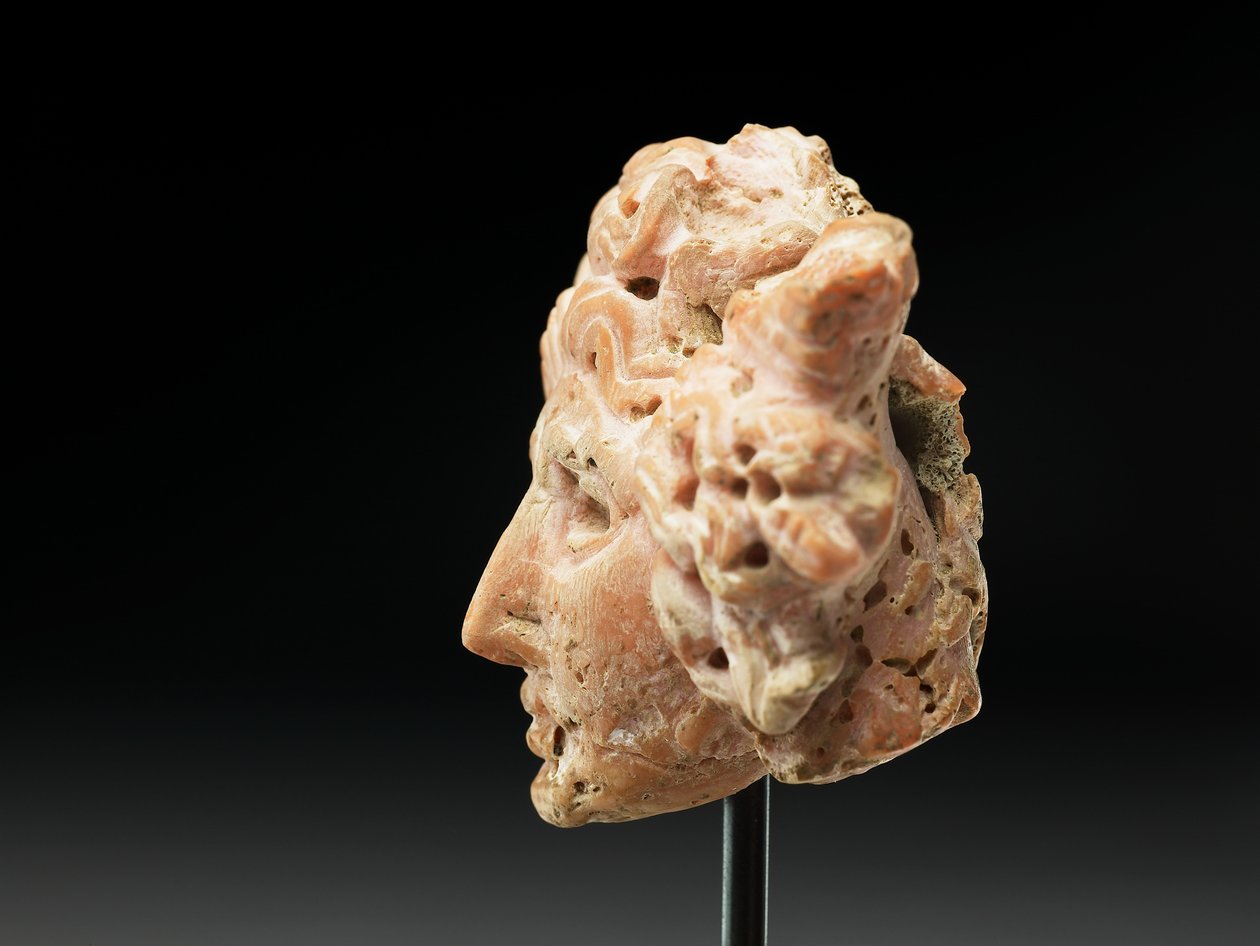 Huvud av Medusa, från Bactria eller Gandhara, 2:a-1:a århundradet f.Kr. (rosa korall) av Unbekannt