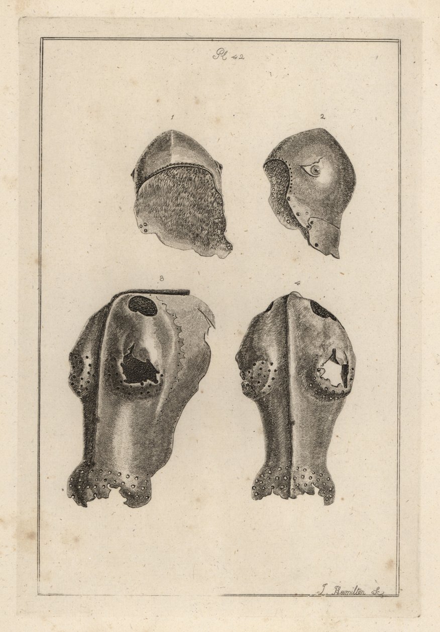Hjälm 1,2 och järnchanfron eller chafron 3,4 som tillhörde Guy, Earl of Warwick av Unbekannt