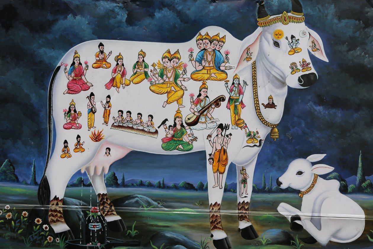 Hinduisk målning. Helig ko och kalv. Indien av Unbekannt