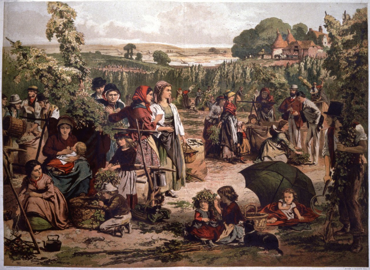 Humleplockning i England, slutet av 1800-talet (illustration) av Unbekannter Künstler