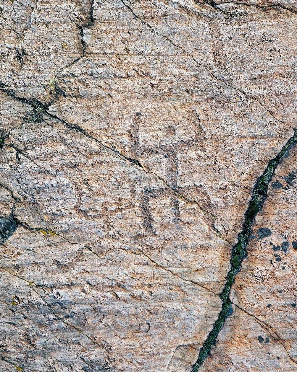 Människofigurer, hällristningar i Naquane National Rock Art Park (Unescos världsarvslista av William M. Timlin