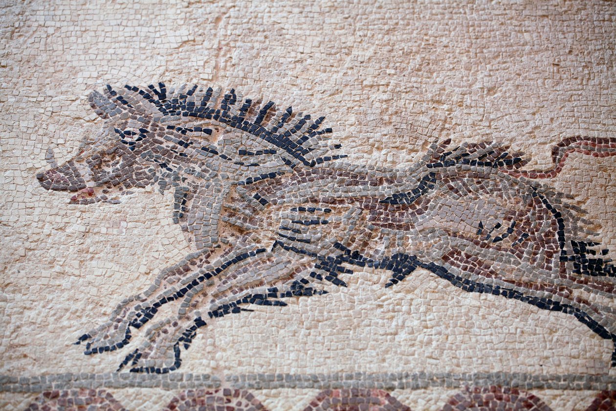 Jaktscen: Ett vildsvin - Paphos mosaiker, Dionysos hus - Slutet av 2000-talet e.Kr. - Cypern - Jaktscen: Vildsvin i rörelse - Mosaiker från Paphos, Dionysos hus - Slutet av 200-talet e.Kr. - UNESCO-plats, Cypern av William M. Timlin
