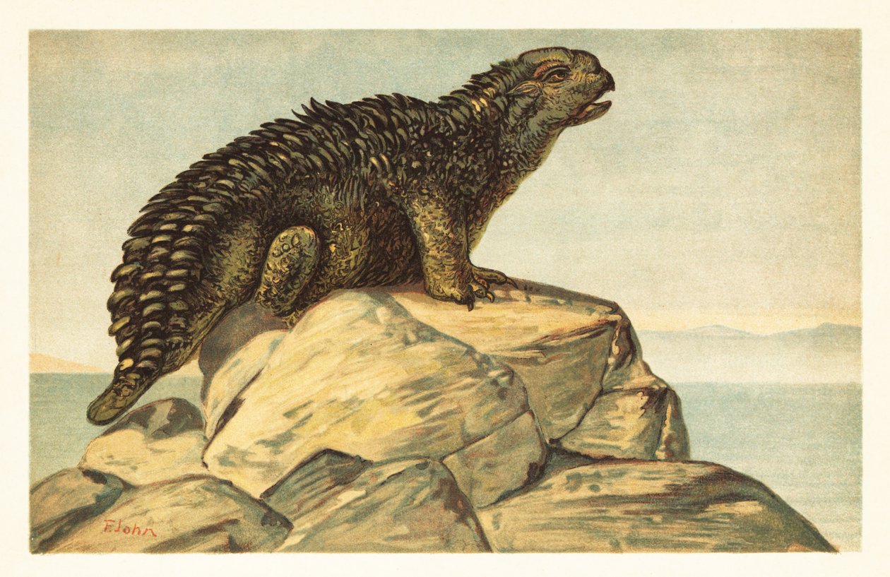 Hylaeosaurus armatus, utdöd växtätande ankylosaurisk dinosaurie 1908 (litografi) av Unbekannter Künstler