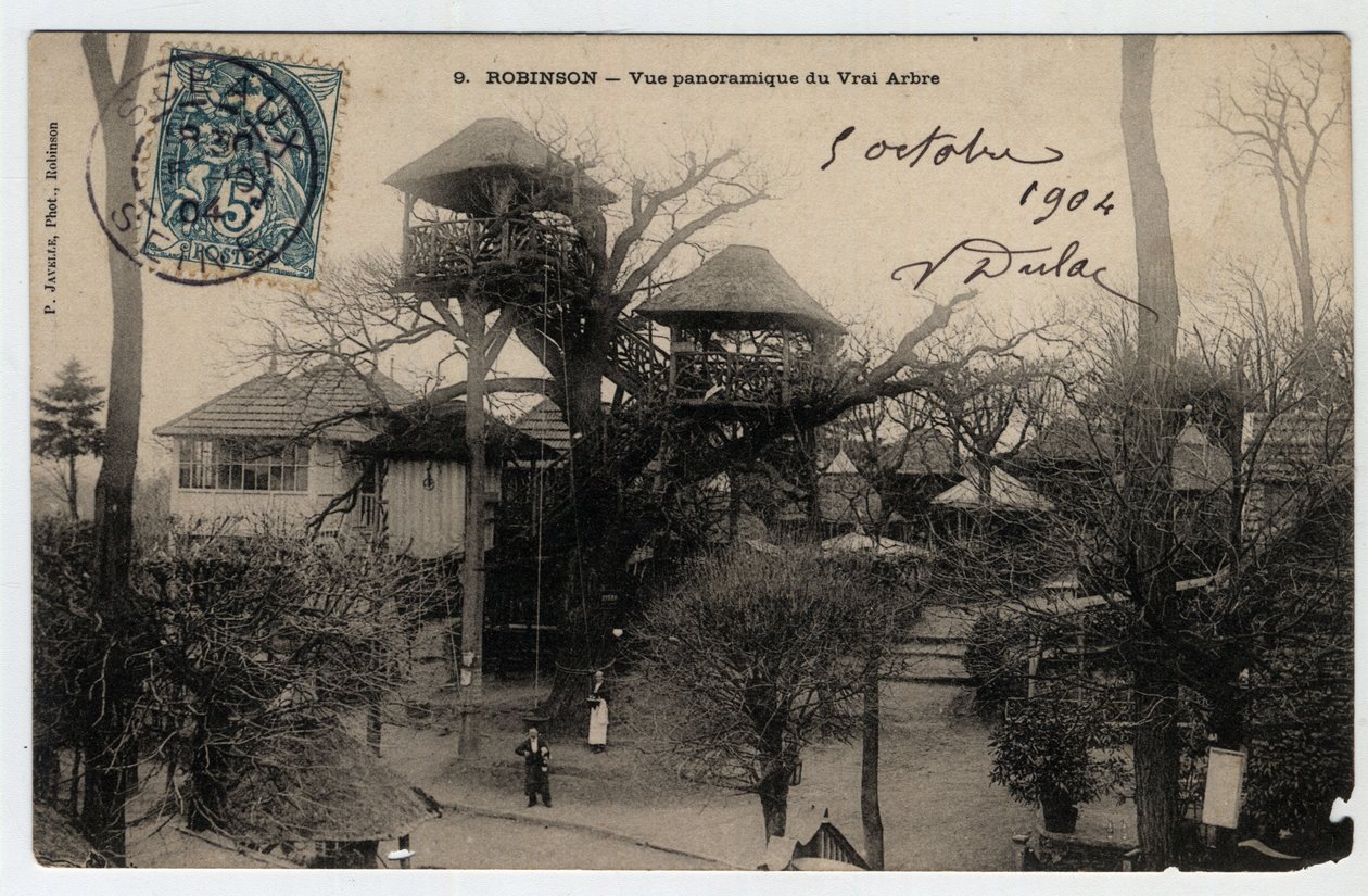 Ile de France, Hauts de Seine (92), Le Plessis Robinson (Le Plessis-Robinson): panoramautsikt över "True Arbre", en guinguette installerad på toppen av en kastanj - Vykort daterat 1904 av Unknown