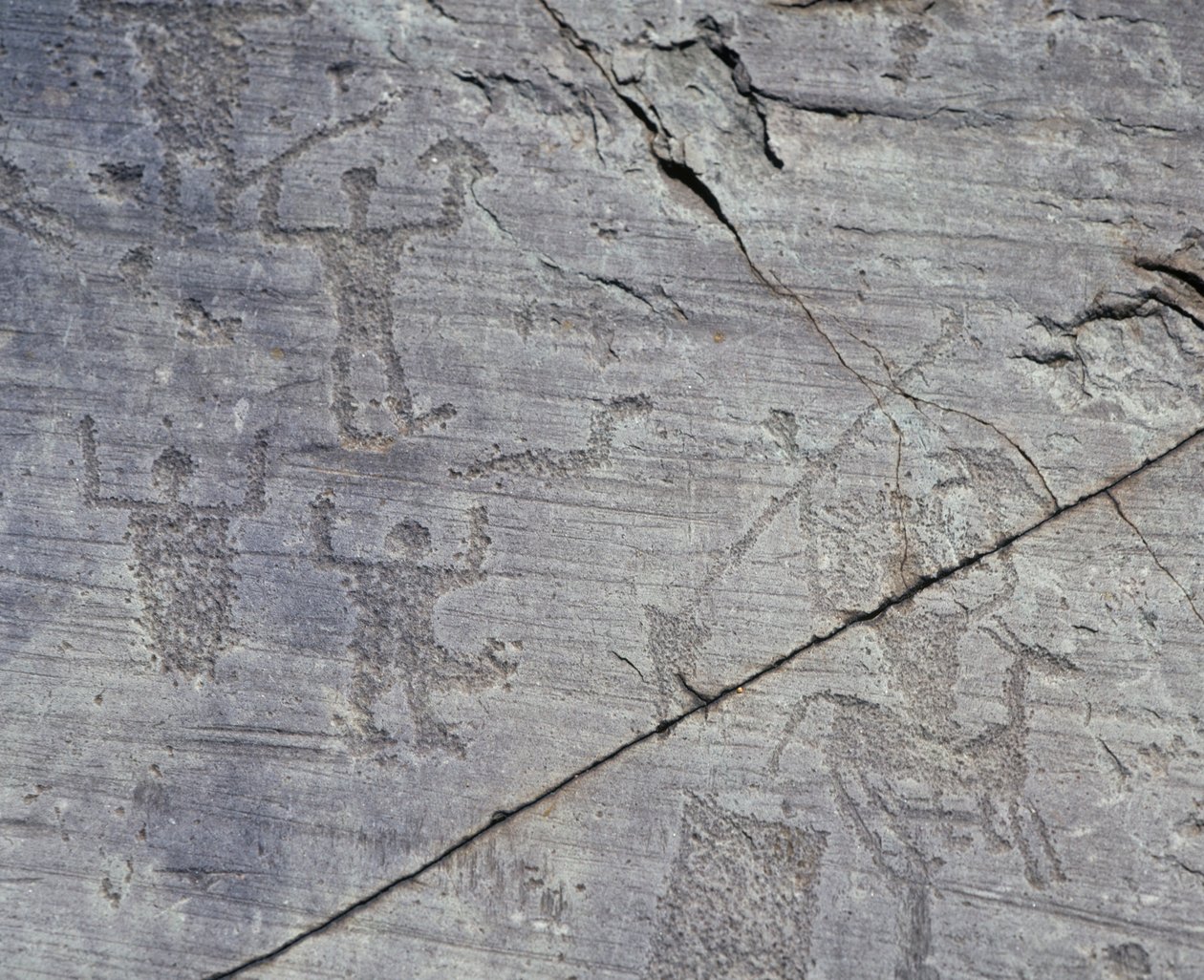 Italien, region Lombardiet, Valcamonica, närbild av klippteckningar i Naquane nationalpark av Benjamin Baud
