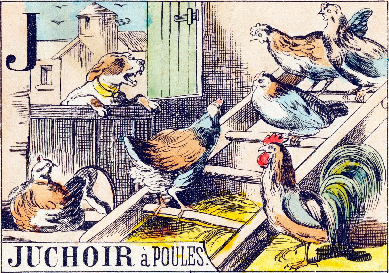 J Juchoir a poules - "gårdens alfabet" slutet av 1800-talet (gravyr) av Unbekannt