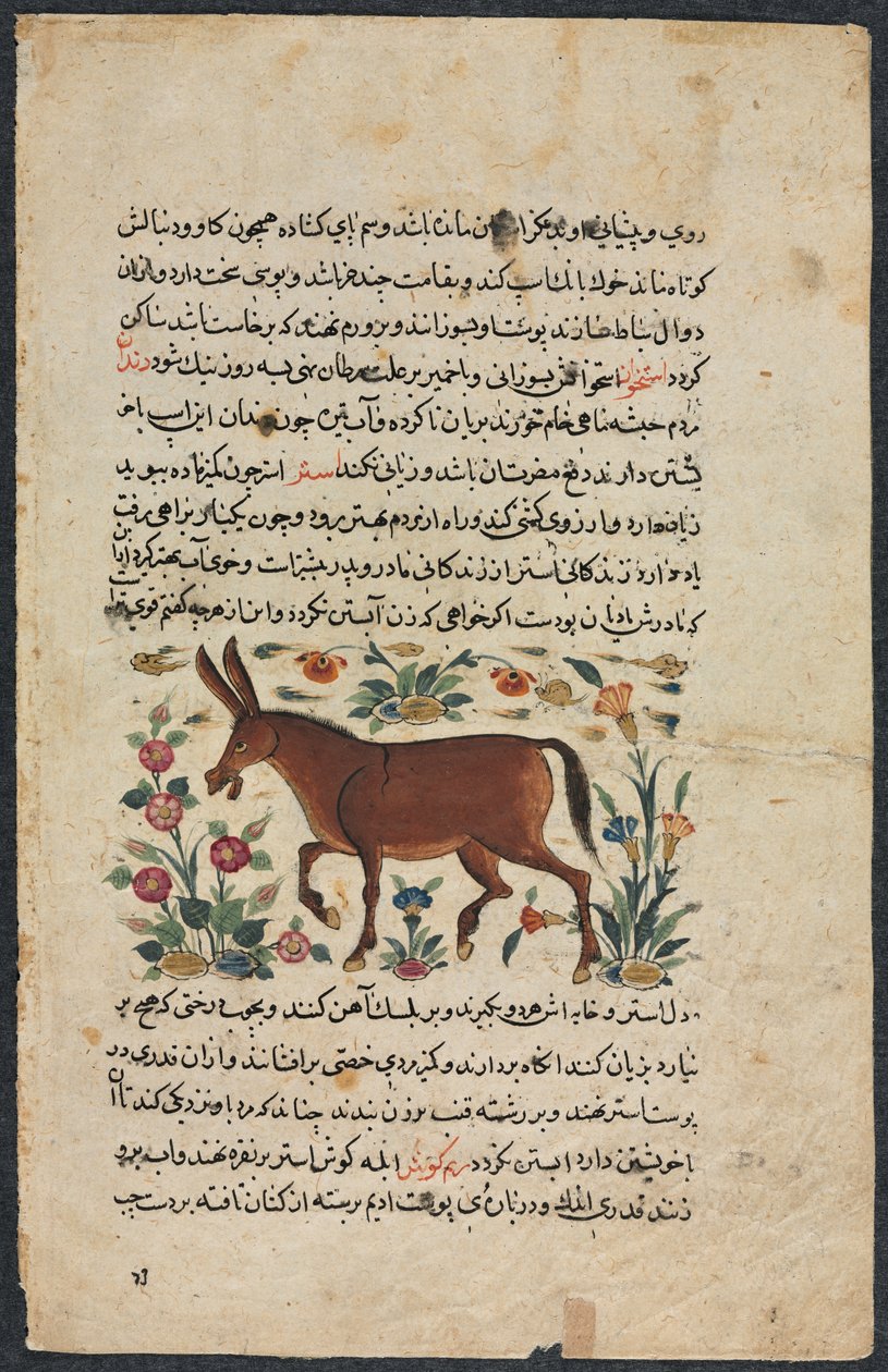 Annat (fynd), från ett nezhantami-kast (utmärkt bok om vi kommer att anlända) från Shahmarda Ibn Abi al-Khair av Unbekannt