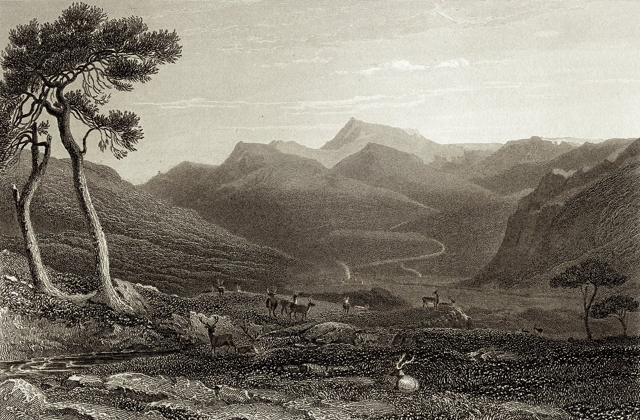 Lachin Y Gair av Unbekannter Künstler