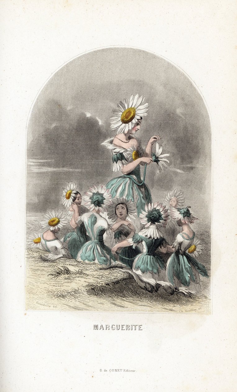 Les fees des daisies des pres, toppade med blomhattar, en lämnar kronbladen på en tusensköna - Eau forte av Charles Geoffroy (1819-1882), efter en illustration av Jean Ignace Isidore Gerard dit J.J.Granville (1803-1847), för Les fleurs animees av Unbekannter Künstler
