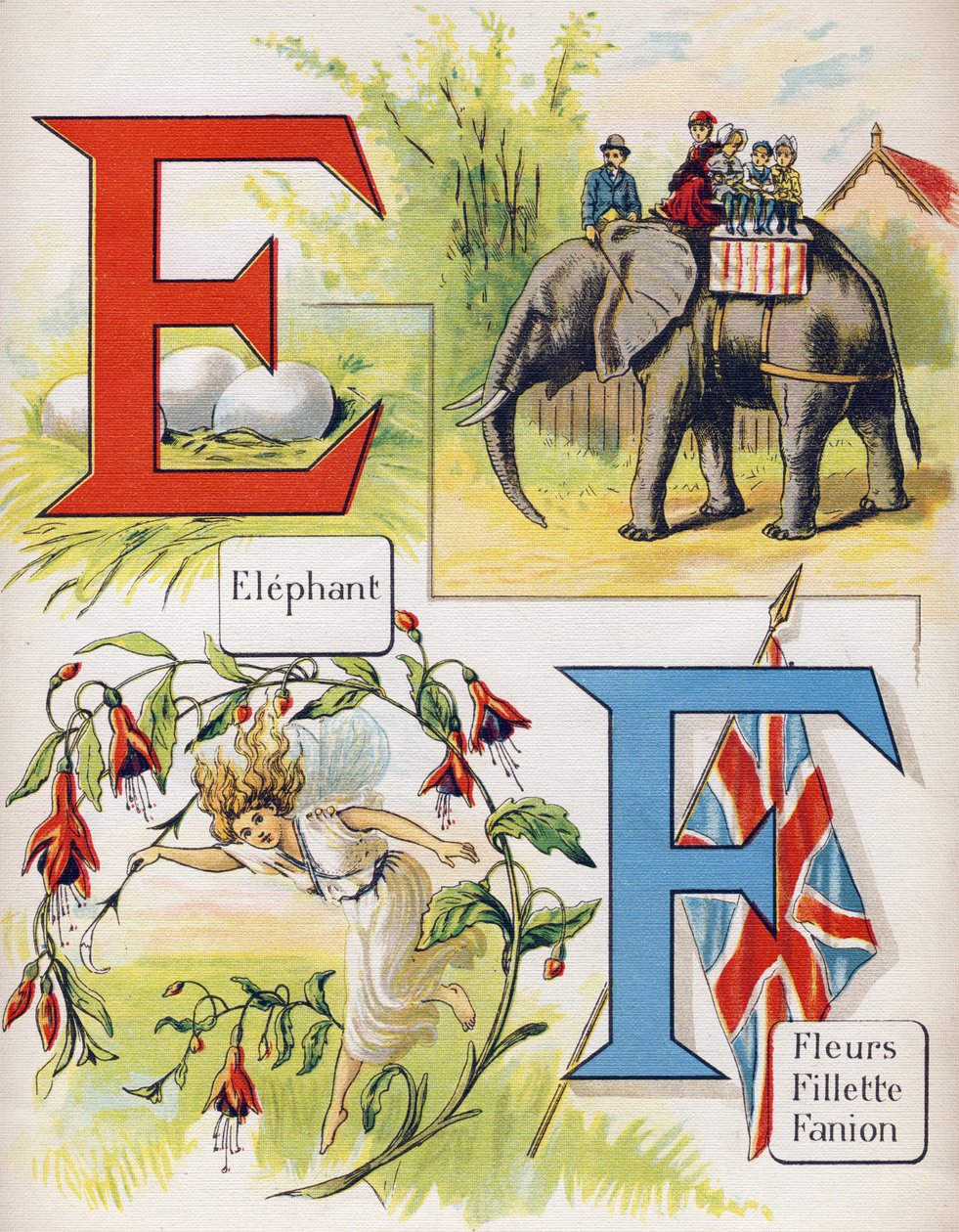 Bokstaven E och F: elefant och blommor, flicka, vimpel. Gravyr i "ABC L