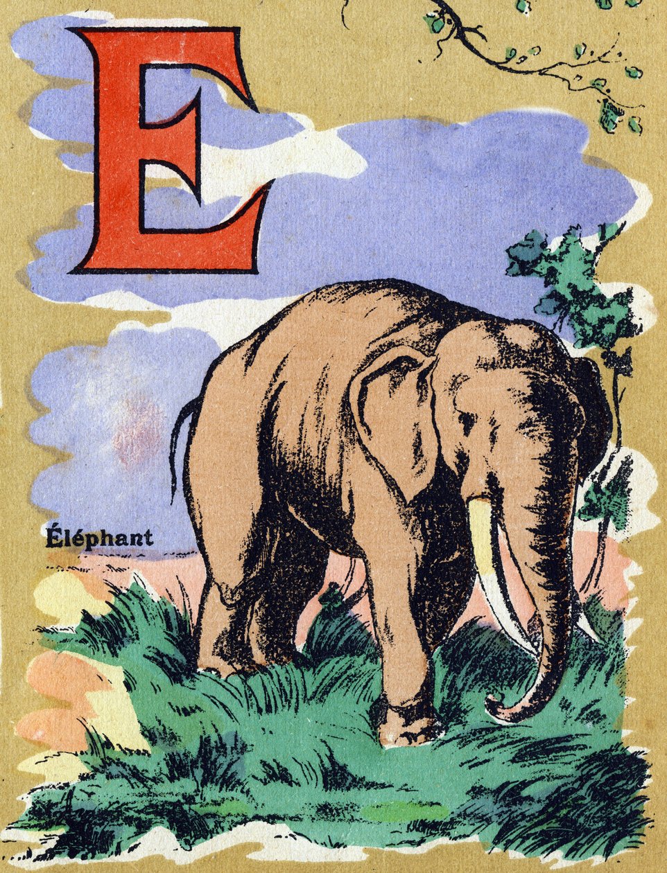 Bokstaven E som en elefant. Illustrerat alfabet. Bilder återförenades i Jarville-Nancy, början av 1900-talet. Mått: 40 x 29 cm. Litografi på en bistre bakgrund av Unbekannt