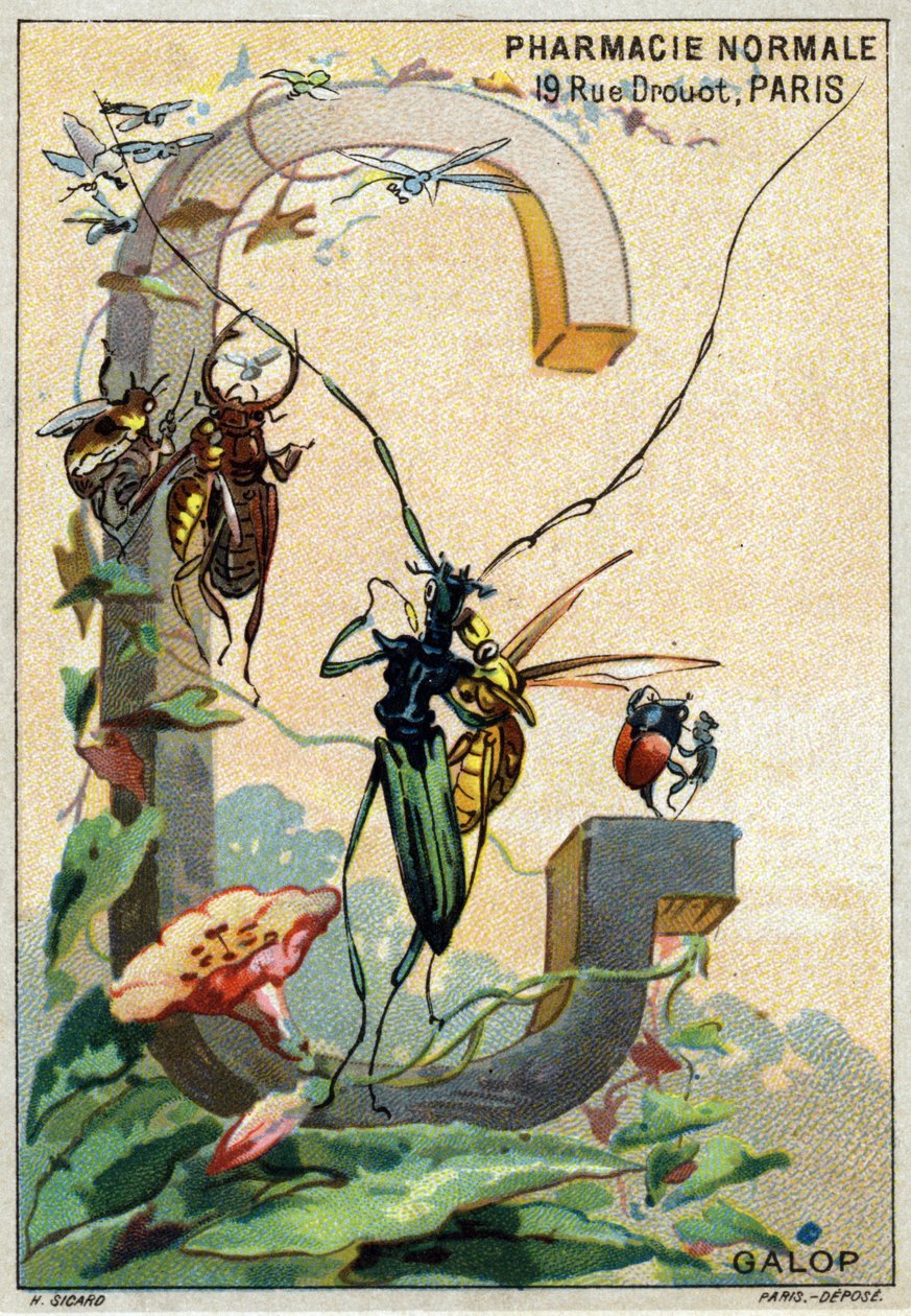 Bokstaven G som Galop. Herr Mariniers konstnärliga alfabet. Redigerad av Henry Sicard, sent 1800-tal. Reklamkromolitografier för produkter som säljs på apotek. Mått: 12,5 x 9 cm av Unbekannt