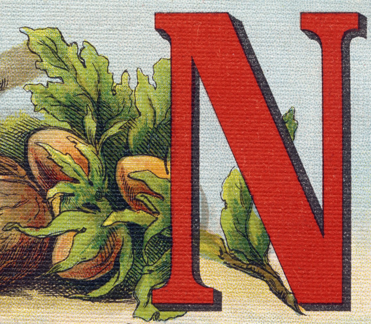 Bokstaven N: hasselnötter. Gravyr i "Alphabet de ma petite fille". Bernardin-Bechet och Fils, bokhandlare-förlag, Paris, omkring 1895. Okrossbart album på duk. Bibliotheque des Bebes. 12 sidor. Album innehållande en läsmetod och en illustrativ abec av Unbekannt