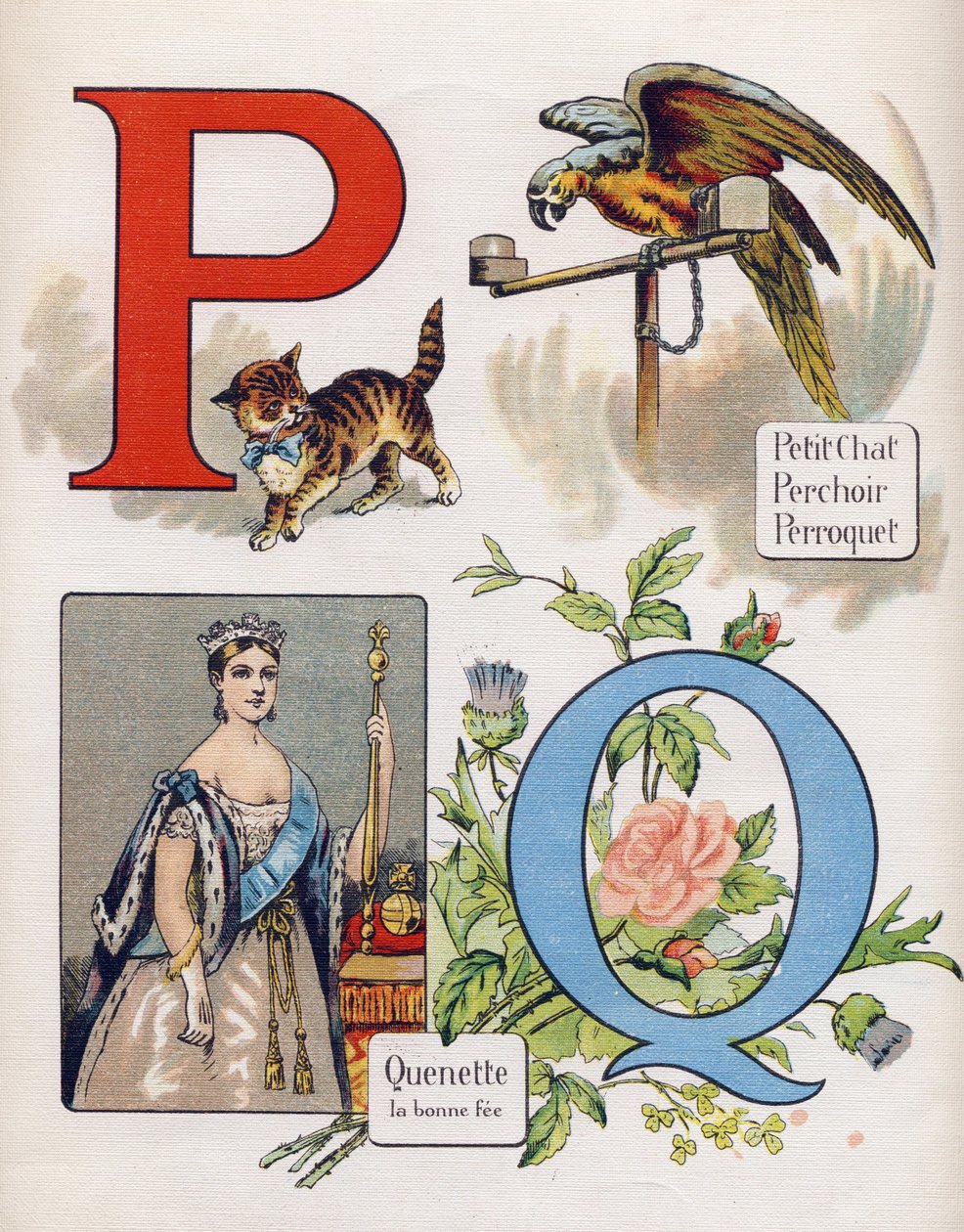 Bokstaven P och Q: liten katt, abborre, papegoja och quenet, rätt avgift. Gravyr i "ABC L