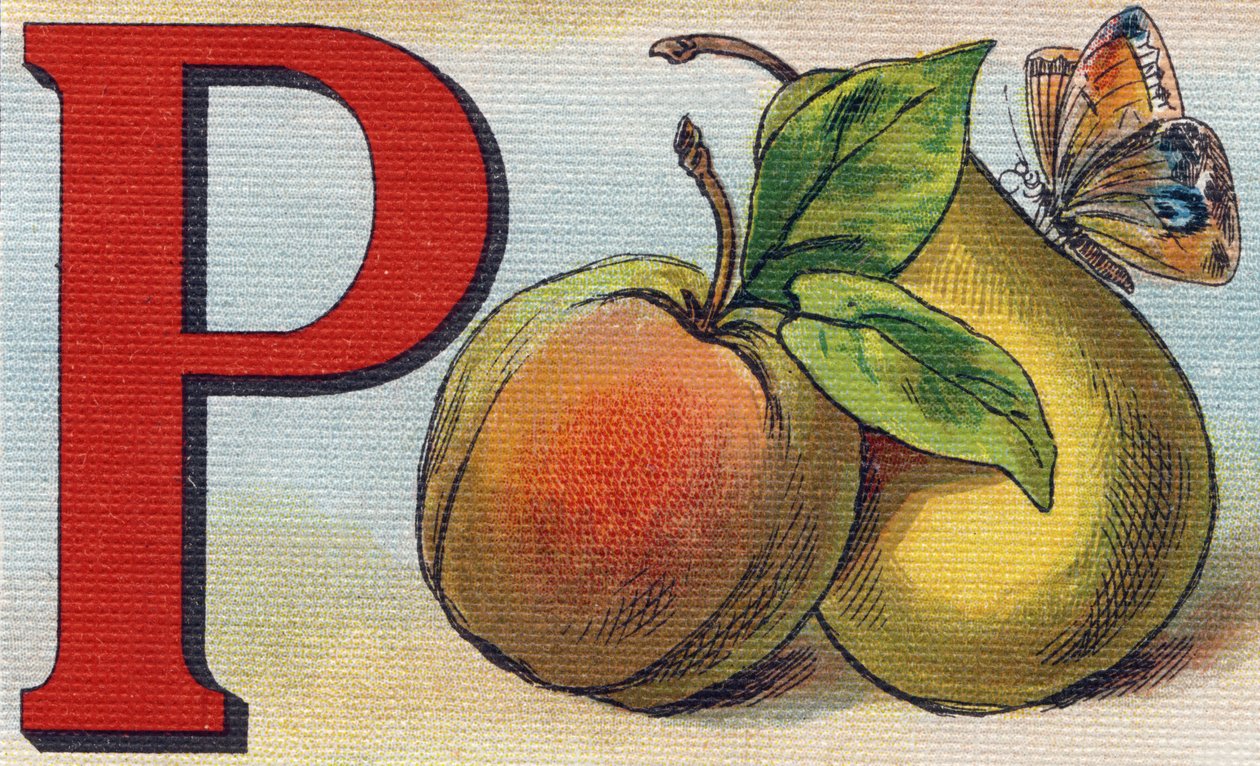 Bokstaven P som persika, päron och fjäril. Gravyr i "Alphabet de ma petite fille". Bernardin-Bechet och Fils, bokhandlare-förlag, Paris, omkring 1895. Okrossbart album på duk. Bibliotheque des Bebes. 12 sidor. Album som innehåller en läsmetod och en av Unbekannt