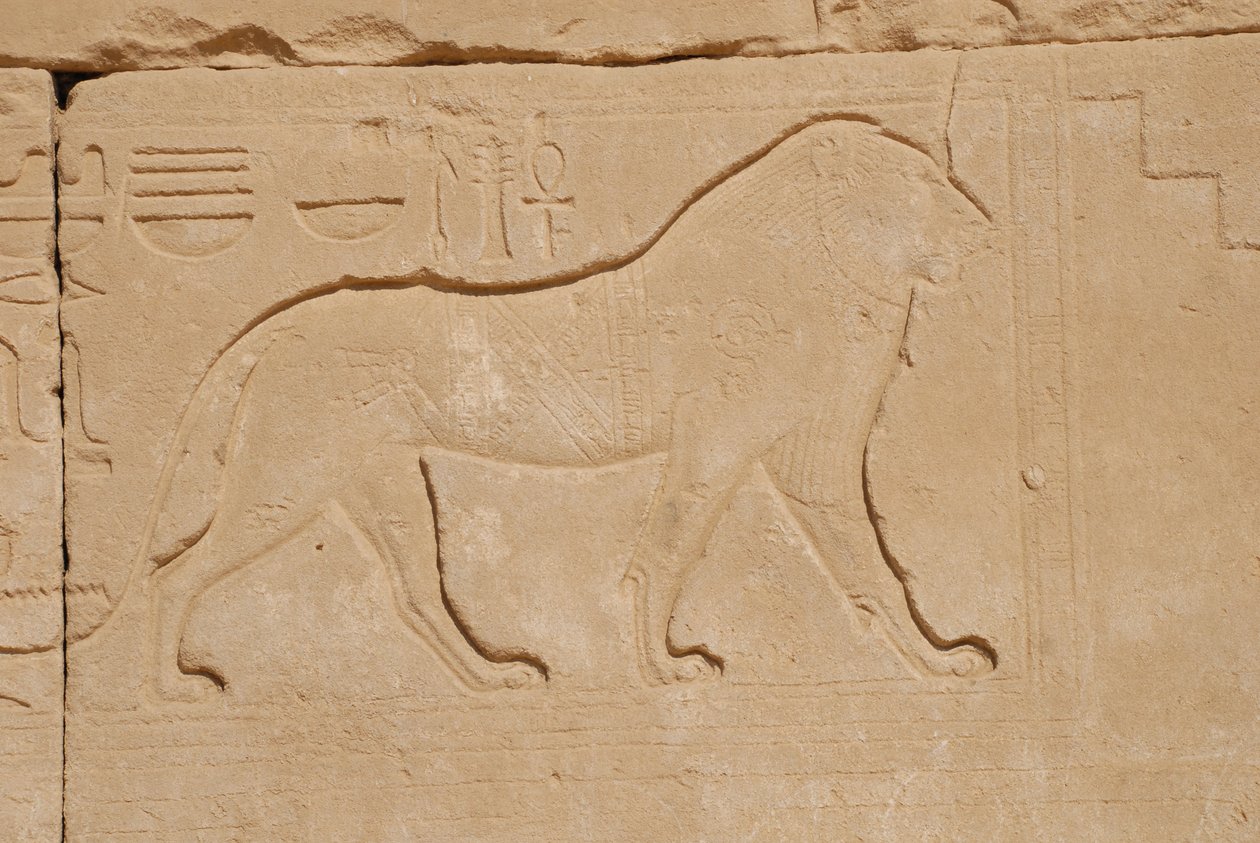 Lejonsnideri, Karnak, Luxor, Egypten (foto) av Unbekannt