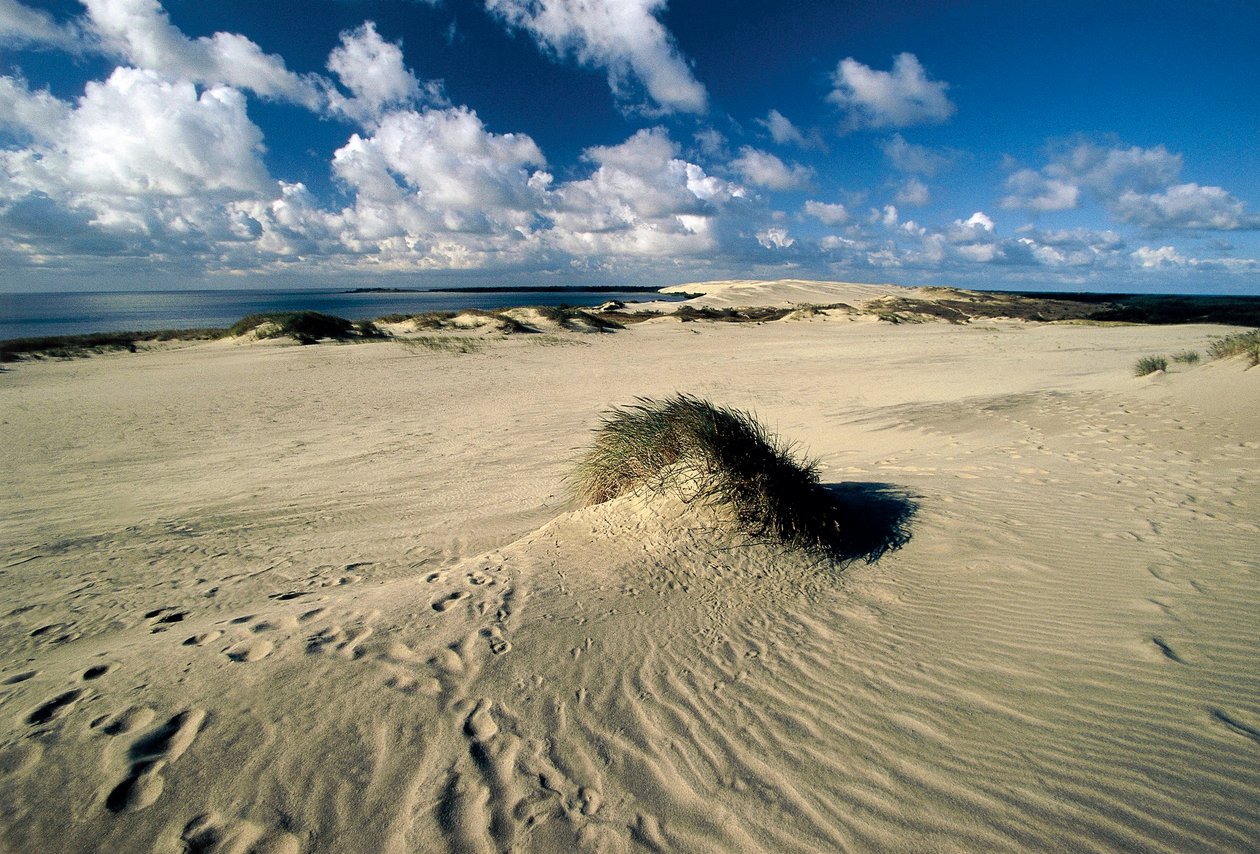 Litauen, Klaipeda, Kuriska spotten, Nida, rörliga sanddyner som kallas Preussiska Sahara av William M. Timlin