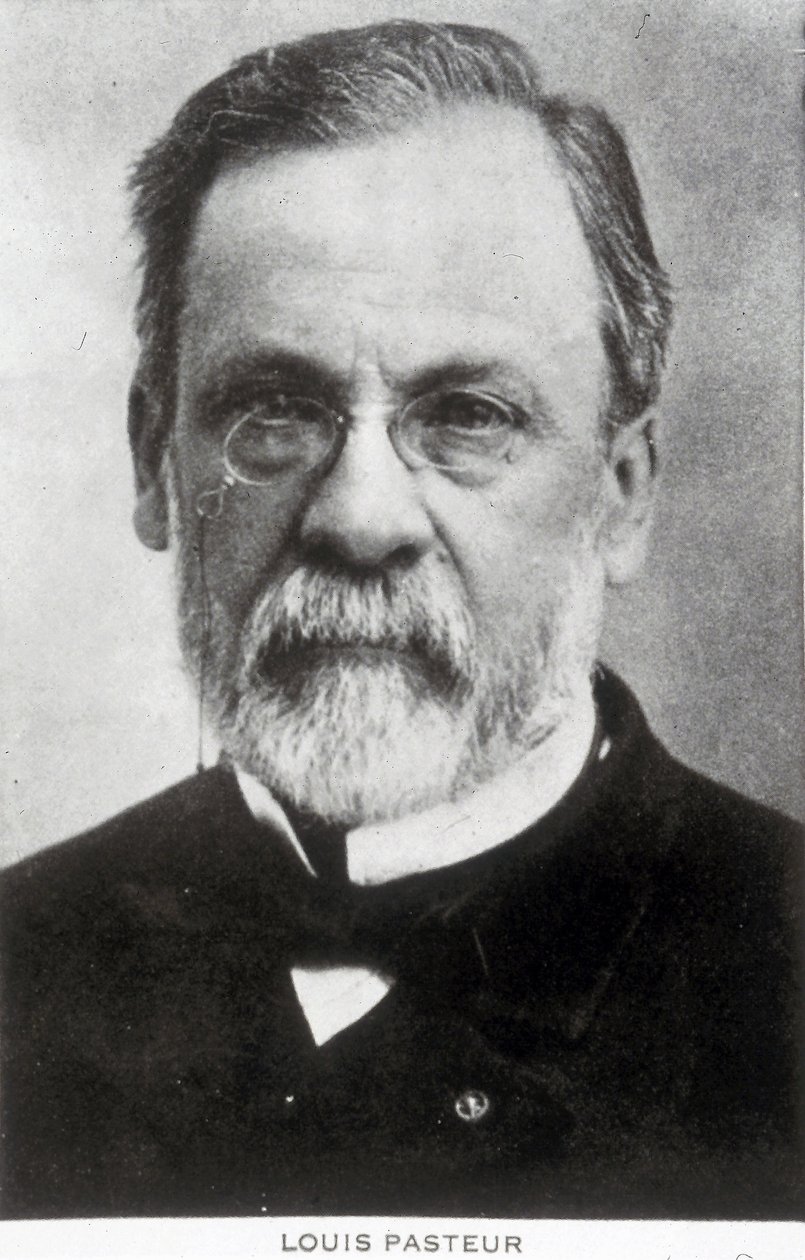 Louis Pasteur, fransk kemist och mikrobiolog, ca 1885 av Unbekannter Künstler