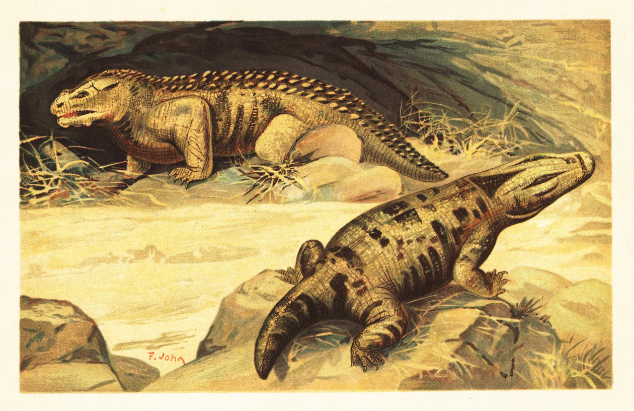 Mastodonsaurus och Pareiasaurus.1908 (litografi) av Unbekannter Künstler