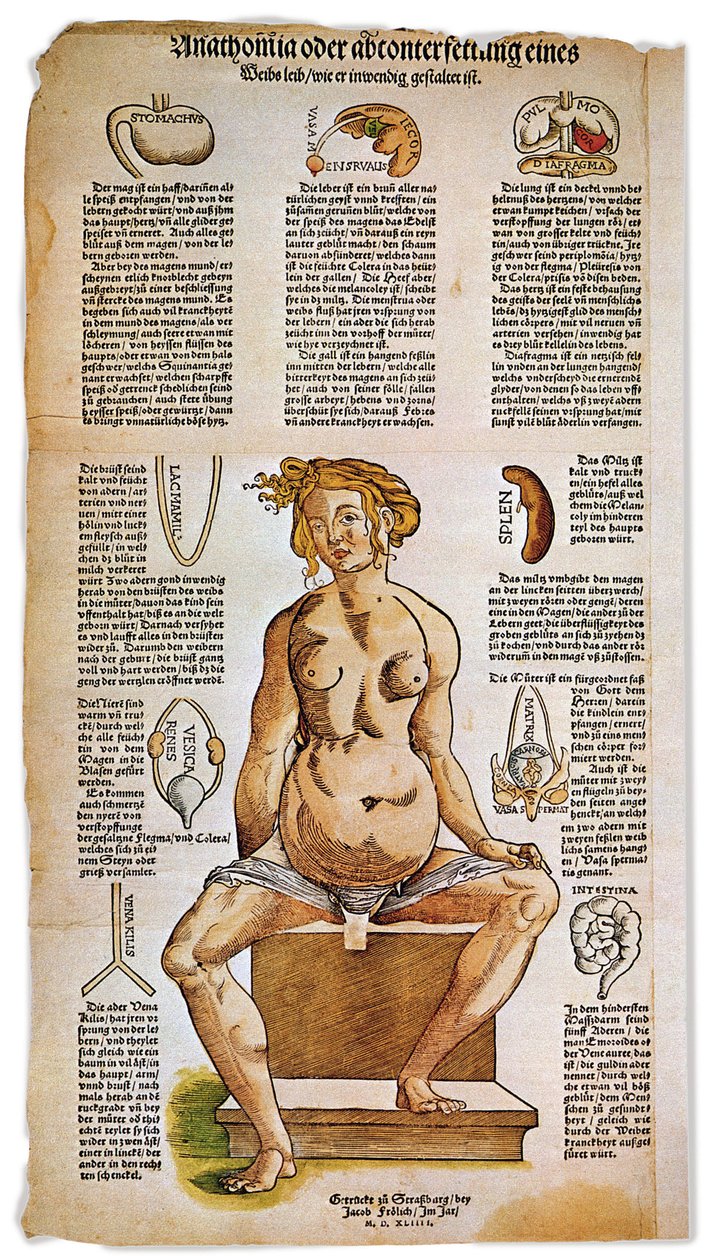 Medicin: anatomisk tavla som beskriver den kvinnliga anatomin från en renässansmedicinsk behandling. Runt figuren av en sittande kvinna listas och illustreras vitala organ som lever, lungor och diafragma, mage och fortplantningsapparat. Gravyr i färg av Unbekannter Künstler