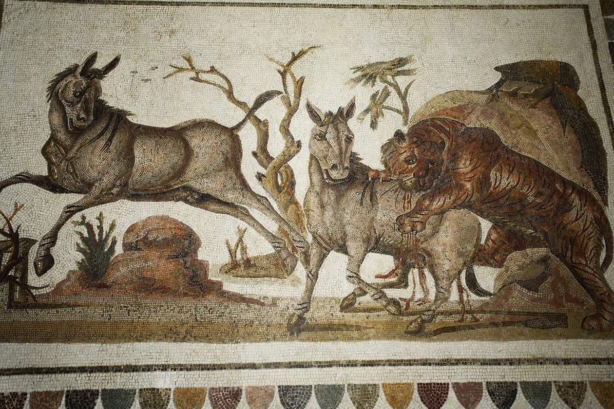 Mosaik av djurstrider: tiger som attackerar två natt-primagrar. II s AD/Musee d