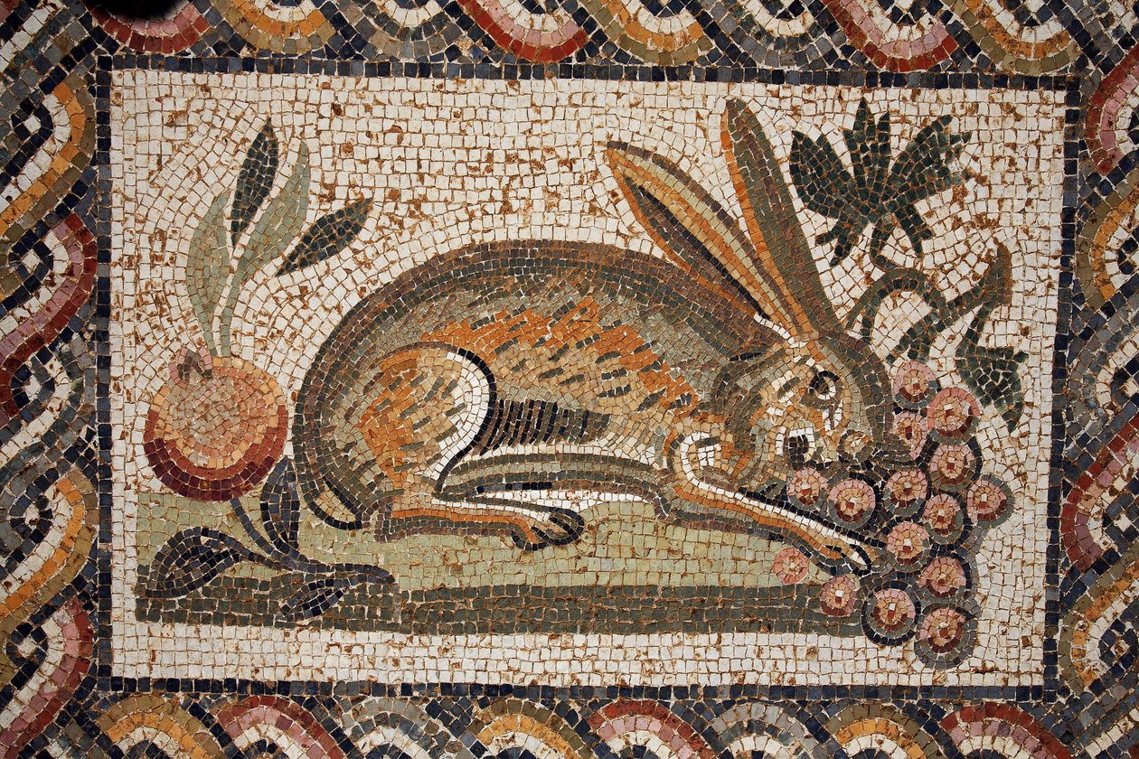 Mosaik som föreställer en hare med en spionblick som betar en klase druvor (andra hälften av 2:a århundradet e.Kr.)/in situ a El Jem (antik Thysdrus)/Tunisien av Unbekannt