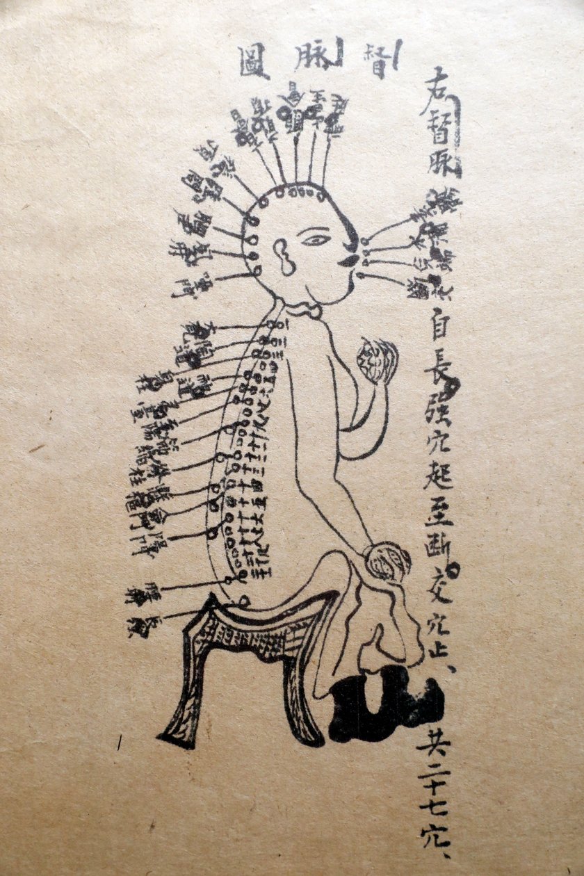 Museum of Traditional Vietnamese Medicine, Kanalerna och kärlen, Akupunkturboken, Ho Chi Minh City, Vietnam av Unbekannt