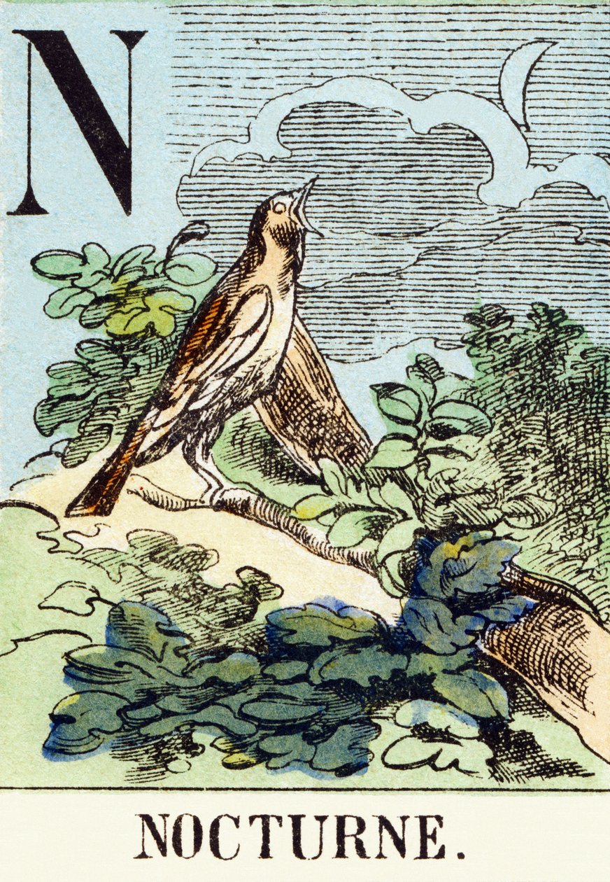 N : Nocturne - Jaktalfabetet, ca 1890 (gravyr) av Unbekannt