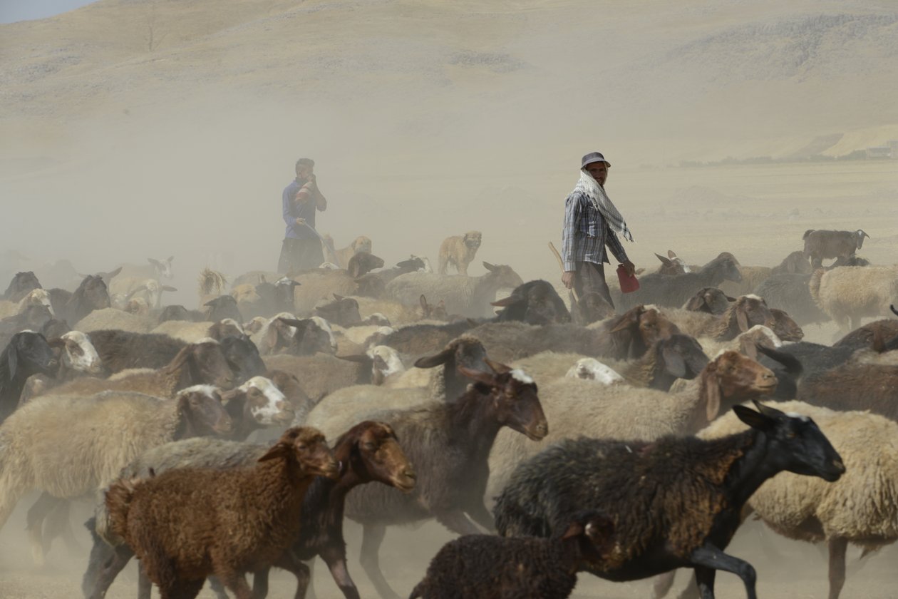 Nomadtält mellan Tamar och Ashkhaneh, Iran 2022 (fotografi) av Unbekannter Künstler