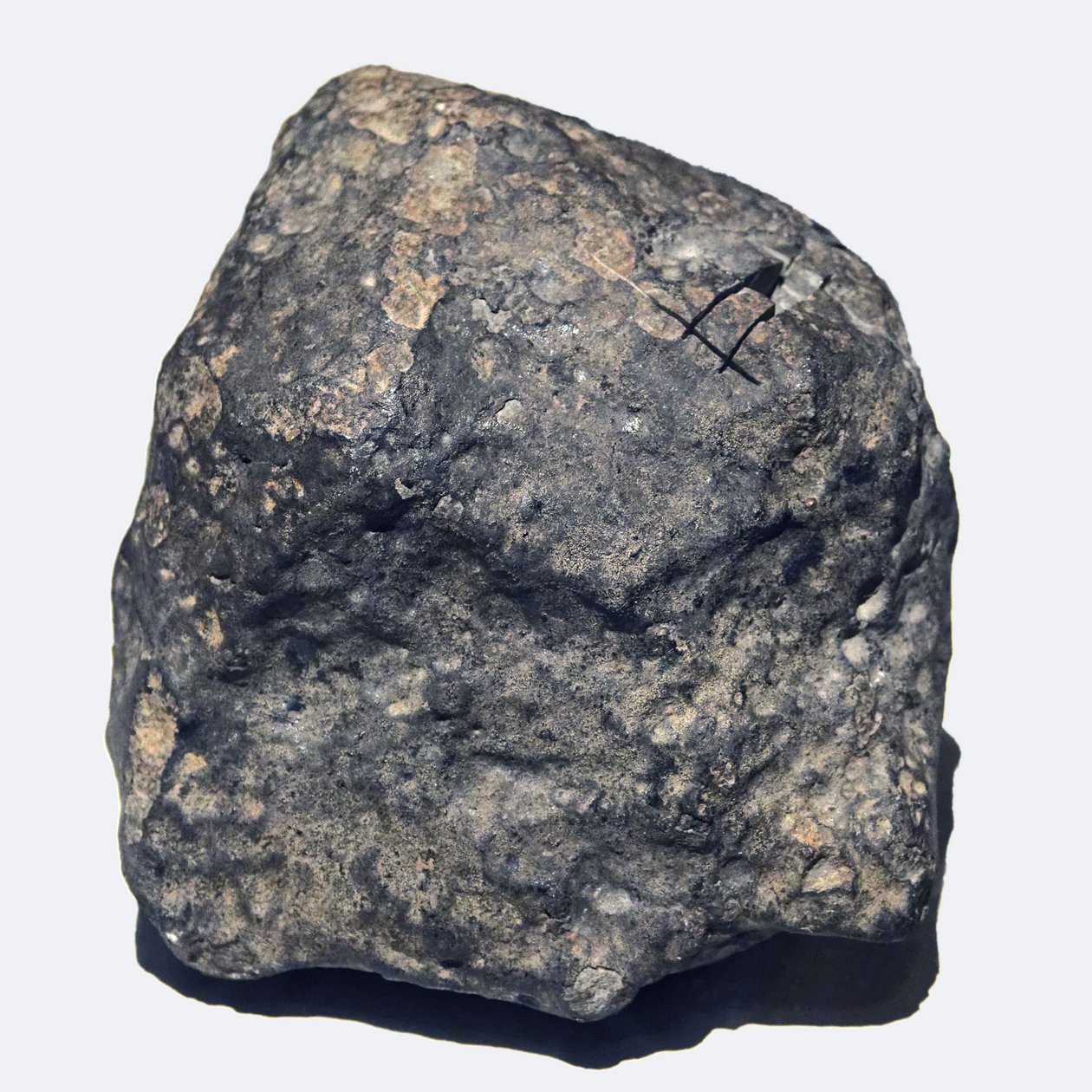 Vanlig kondrit (L/LL5). Toimbee i Ukraina 1866. Naturhistoriska museet, Paris. av Unbekannt