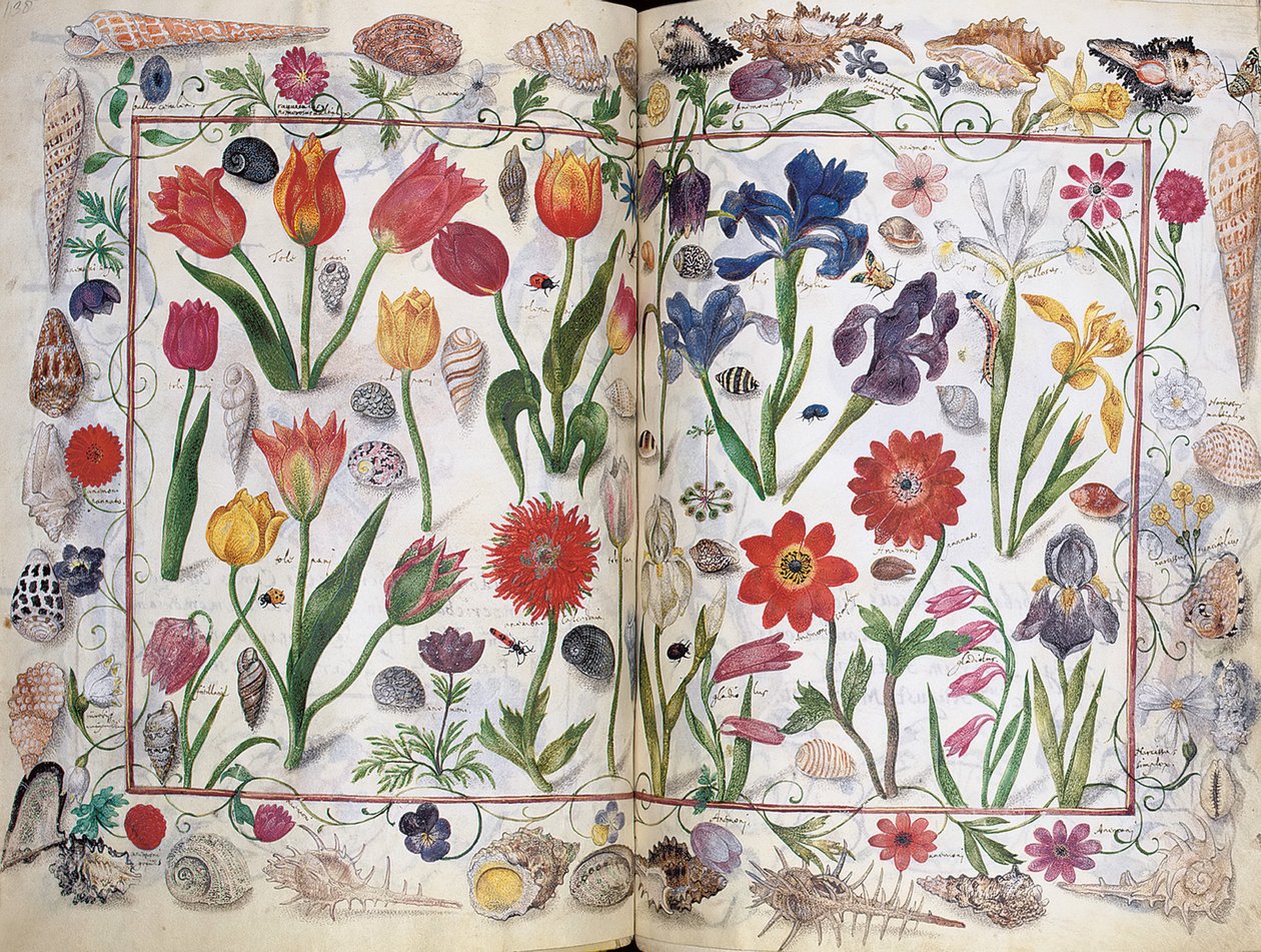 Sidor från albumet Amicorum av Philipp Hainhofer, 1596-1633 av Unbekannt