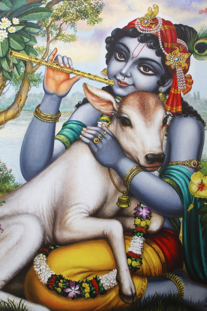 Målning som föreställer den hinduiska guden Krishna som spelar en flöjt och smeker en kalv. Indien av Unbekannt