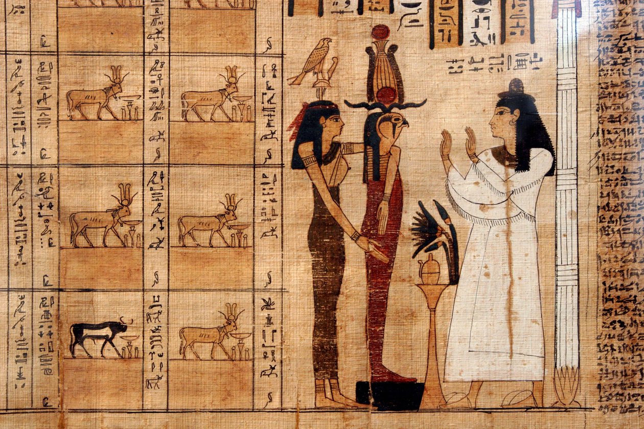 Papyrus från en dödsbok, Egyptiska museet, Turin av Unbekannt