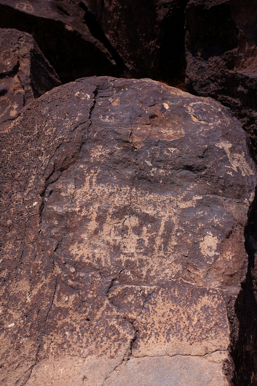 Petroglyphs föreställande djur och karaktärer - Petroglyph National Monument - Albuquerque, New Mexico, USA (USA) av William M. Timlin